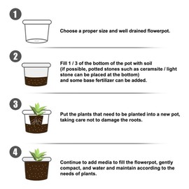 Quick Rooting Powder Fast Plant Flower Rooting Powder Quick Growth Transplant Fertilizer for Improving Flowering Cutting Survival (50g)