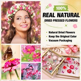 Solsew 160 Pcs Dried Flower Sticker Set Dried Pressed Flowers for Resin Real Pressed Floral for Resin DIY Jewelry Floral Decors Making Nail Art Soap with Butterfly Sticker (Elegant Style,Pink)