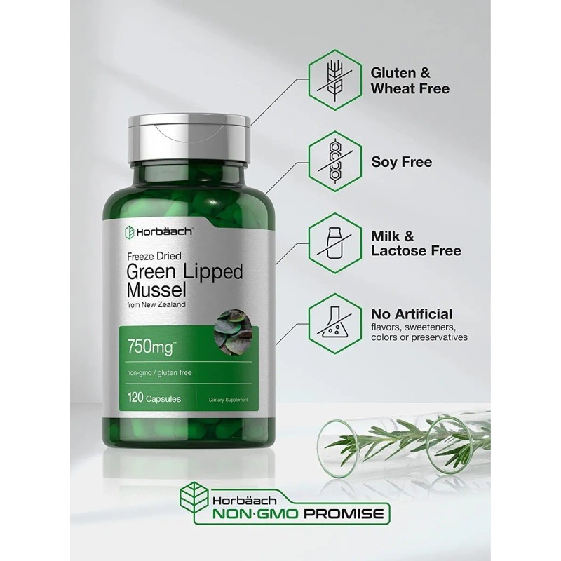 Mejillon Labio Verde Green Lipped Mussel 120 Capsulas Eg N17