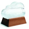 Weather Predicting Storm Cloud Glass Decorative with wooden base