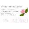 Ichika 【Smooth Care】 Rinse-off Treatment 230g | Hair Pack Hair