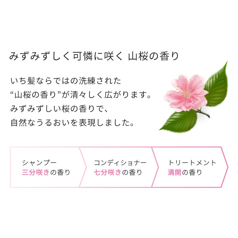 Ichika 【Smooth Care】 Rinse-off Treatment 230g | Hair Pack Hair