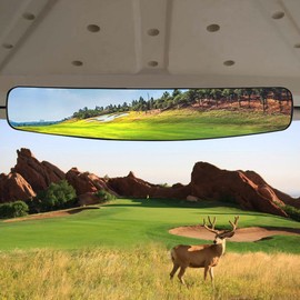 Golf cart Rear View Mirror, HKOO 16.5" Extra Wide 180 Degree Panoramic Rear View Mirror Fit for Golf Cart EZGO Club Car Yamaha（Golf cart Mirrors）