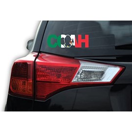 Coahuila Letters Decal Car Window Laptop Map Vinyl Sticker Mexico Coah MX (Mexican Flag, 2.9" x 9")