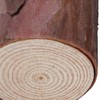 Wood Stakes Cylindrical Pine Log DIY Painting Material Flower Pot