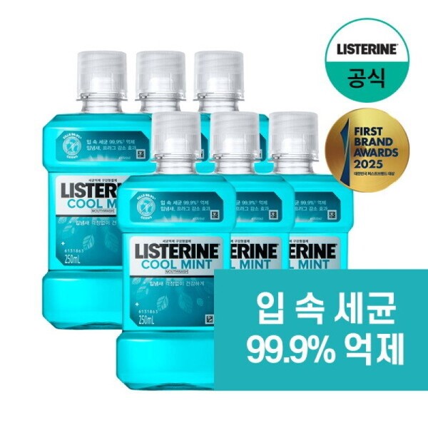 Listerine Cool Mint 250ml x6 / 리스테린 쿨 민트 250ml