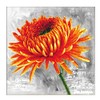 Pracht Creatives Hobby Ladybird Orange Dahlia Cross Stitch Approx. 43
