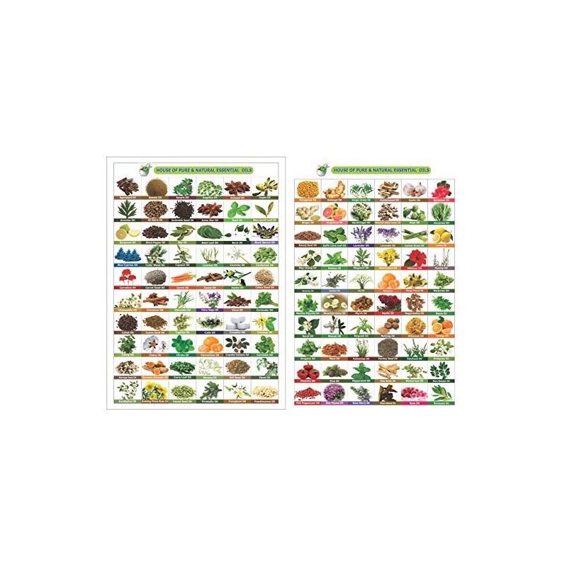 SAGE Oil 100% Natural Pure Undiluted Uncut Essential Oil 15ml