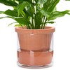 D'vine Dev 10 Inch Design Self Watering Pot for Indoor