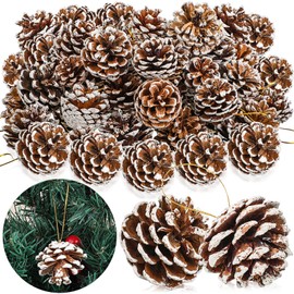 100 Pieces Pine Cones for Christmas Tree White Christmas Pine Cones Ornaments Pine Cones Decorations Frosted Mini Pine Cones Xmas Pinecones with String Pendant Crafts for Farmhouse Winter Party