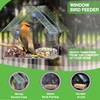 Perspex Window Bird Feeder with Strong Suction Cups – Transparent