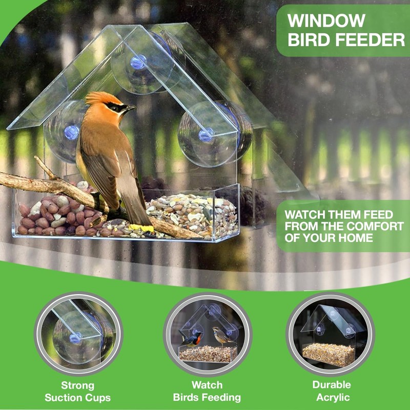 Perspex Window Bird Feeder with Strong Suction Cups – Transparent