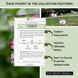 Sow Right Seeds - Cosmos Seed Collection for Planting- Non-GMO Heirloom Packets of Candy Stripe, Gloria, Radiance, Sea Shells & Sulfur- Colorful, Delicate Blooms - Cut and Come Again Varieties