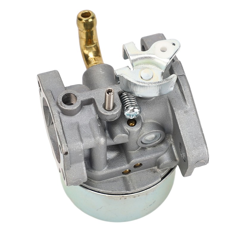 Carburetor Replacement for 798653 697354 790290 791077 698860 Lawn Mower