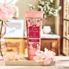 Tesori d'Oriente Shower Cream (Body Wash) 250ml Ikigai (Cherry Blossom)