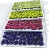 Woohome Miniature Colourful Flower Cluster, Multi Sizes Static Grass Tuft