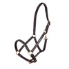 Shires Ragley Lined Leather Headcollar: Black: Small Pony