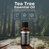 Viva Doria Tea Tree Oil, 100% Pure, Natural, Australian Tea