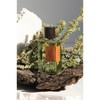 (Goldfield & Banks) Wood Infusion 10ml / (골드필드 앤 뱅크스)