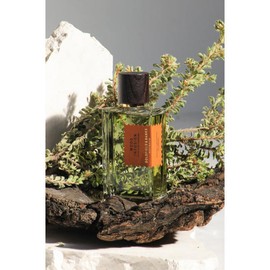 (Goldfield & Banks) Wood Infusion 10ml / (골드필드 앤 뱅크스) 우드 인퓨전 10ml