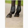 AK Pro-Tec Fetlock Horse Boots Protective Gear and Training Equipment