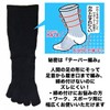 PAX Select #4039-P Strong Speed Deodorizing Yarn "Deocell" Use, Antibacterial
