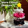 Large Silk Scrunchie for Women & Girls, 100% Mulberry Silk