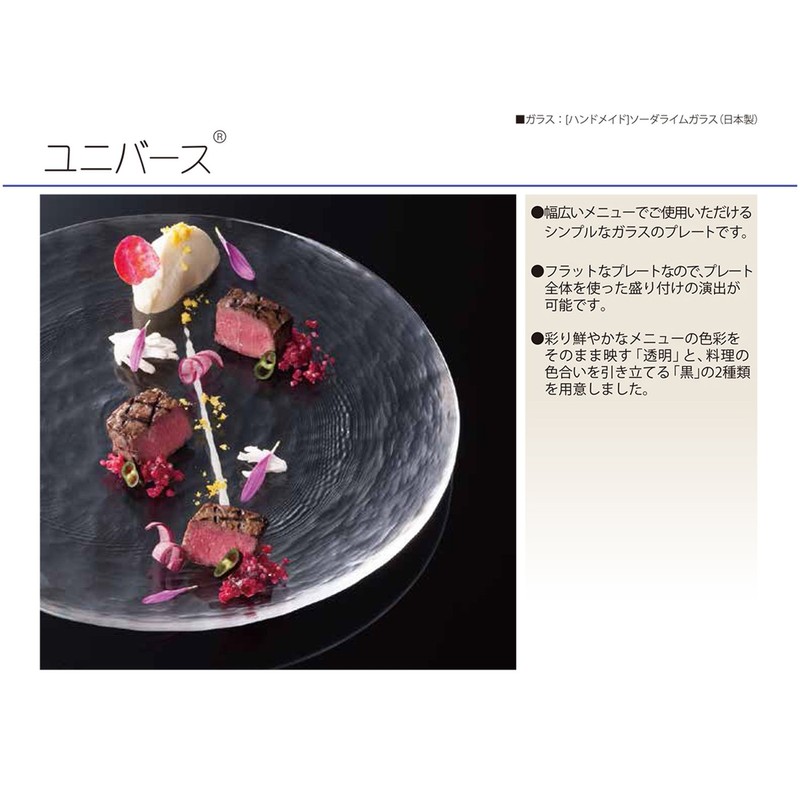 Toyo Sasaki Glass Plate Universe 240 24 cm 46068