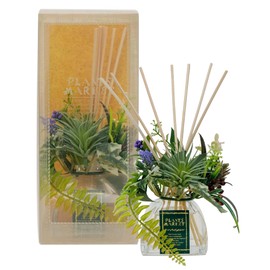 cortelargo (koruterarugo) hurawa-purantu Indoor Air Fresheners, Off White (903) 00 