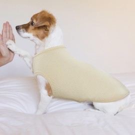 Hjumarayan Dog T Shirt - Thin Knitted Jumpers Soft Stretchy Clothes for Small Dogs Shirts, Striped Tshirt for Mini Chihuahua,Toy Yorkshire Terrier (Beige XXS)