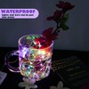 6 Pack Fairy Lights Battery Operated with Timer 2PCS Remote
