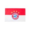 FC Bayern Munich Logo Hissfahne 180 x 120 CM