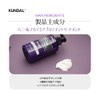 KUNDAL Protein Treatment #French Lavender 16.9 fl oz (500 ml)