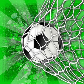 20 Napkins Football in Net Table Decoration Decoupage Decoupage 33 x 33 cm