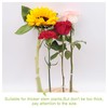 WANDIC Flower Water Tubes,20pcs Sunflower Hydrangea Preserved White Large Transparent
