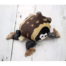 takeoff magnetic American frog