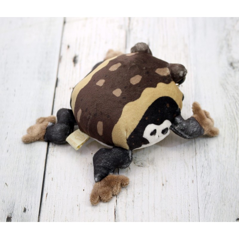 takeoff magnetic American frog