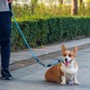 LOS ANDES Dog Slip Collar with Slidable Stopper, No Pull