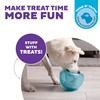 Outward Hound Outward Hound by Planet Dog Snoop Interactive Treat