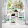 Welliz 웰리즈 보스웰리아정 1000mg x 60정 3개 6개월분 Welliz Boswellia
