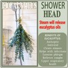 20 Pcs Preserved Dried Eucalyptus Stems, 17" Natural Fresh Eucalyptus