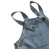 JWWN Little Boys Girls Long Denim Bib Overalls Kids Soft