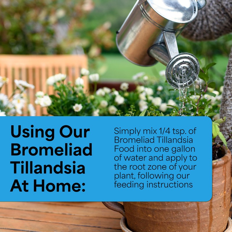 Grow More Bromeliad Tillandsia Food (17-8-22) - 1.25lbs of Water