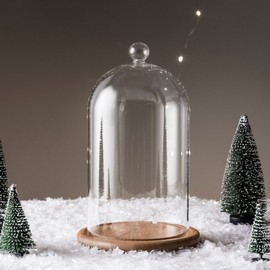 Lights4fun Regular Glass Cloche Bell Jar Display Dome with Wooden Base 20.5cm