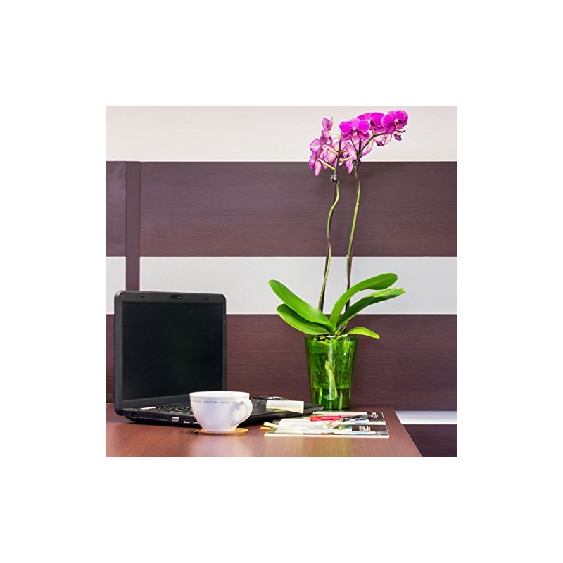 Prosper Plast DUS130P-CPY2 13 x 17 cm "Coubi" Flowerpot -