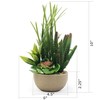 allgala Small Desktop Artificial Combination Succulent Plant Group with Natural