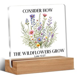 Christian Gifts, Religious Gifts for Women, Birthday Gift for Sister Friend Coworker Mom, Spiritual Gift Home Decor Office Desk Sign Keepsake