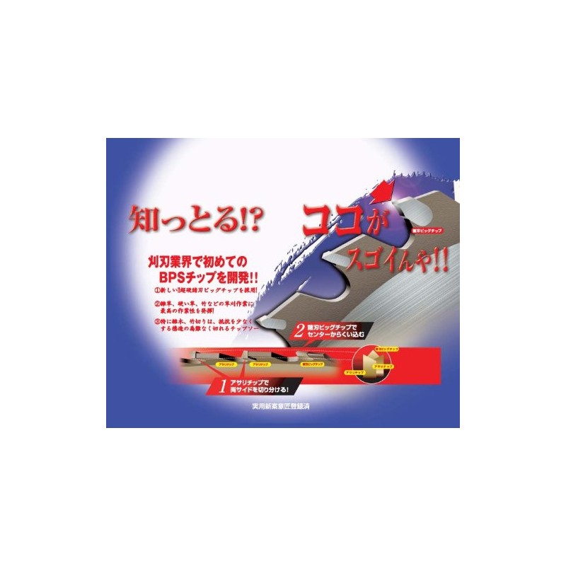 BPS Chip Saw Wolf Super Pro 255 x 36P 210449