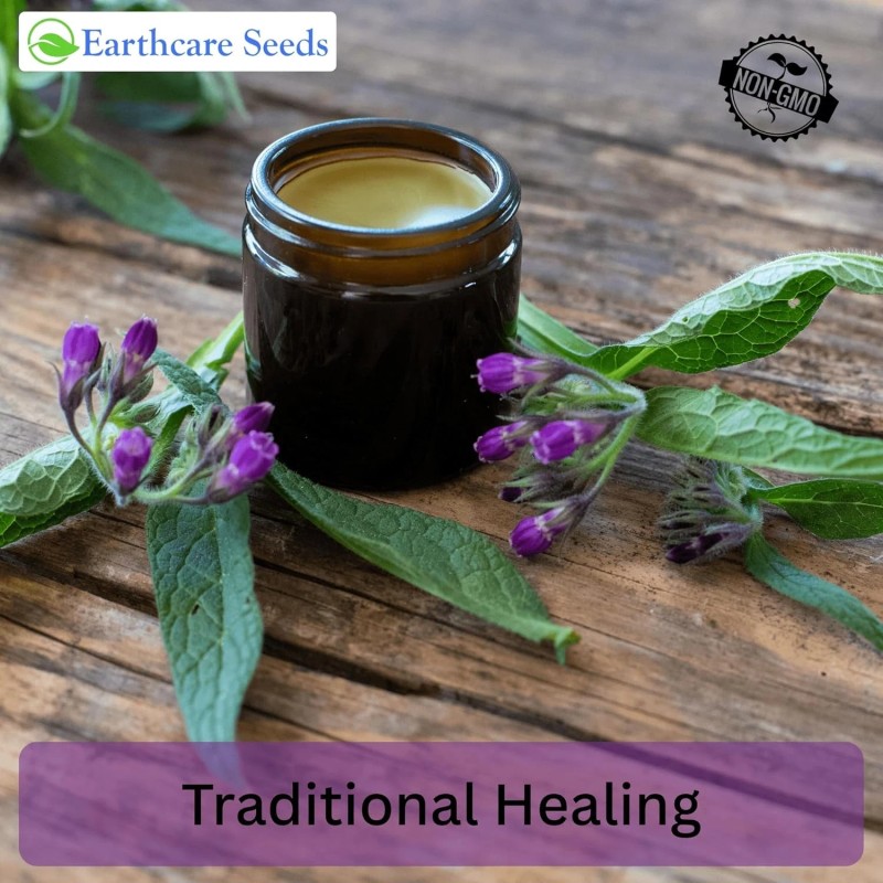 Earthcare Seeds True Comfrey 50 Seeds (Symphytum officinale) Non GMO,