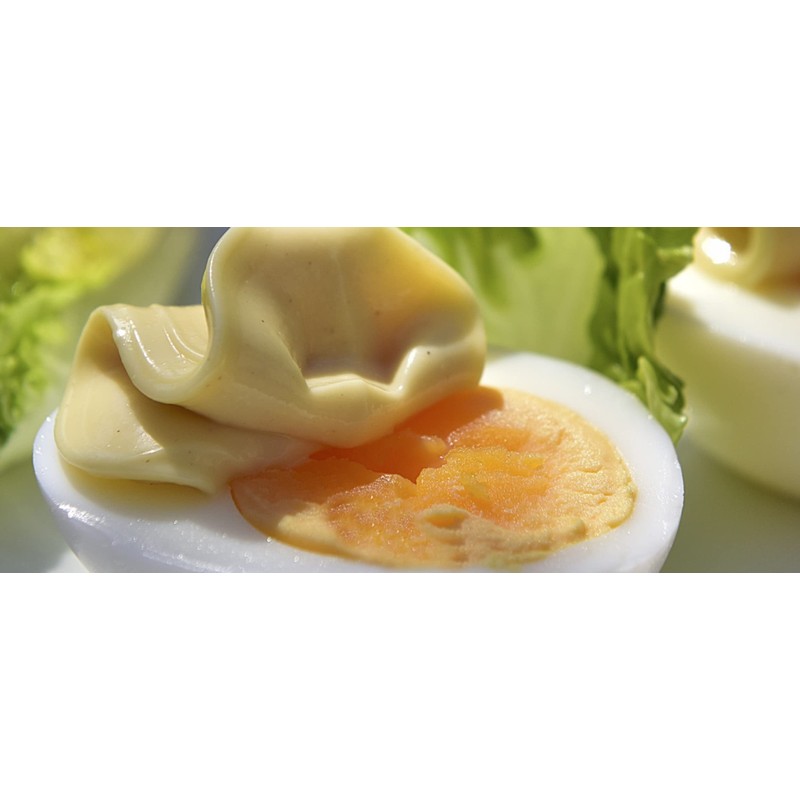 Druy Organic Lemon Mustard, 3.5 oz (100 g)